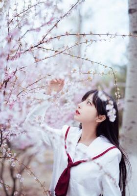 日本黄线在线播放免费观看_蓝光高清迅雷在线观看