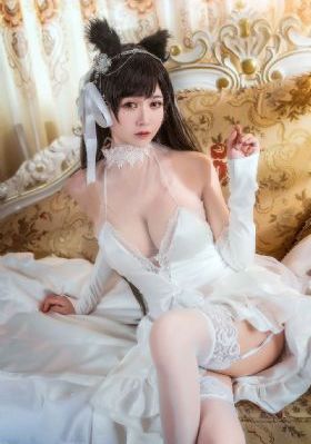 精品无码一区二区三区免费看_蓝光在线播放